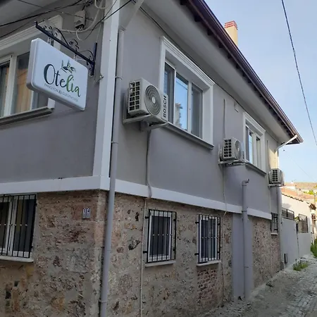 بيت ضيافة Otelia