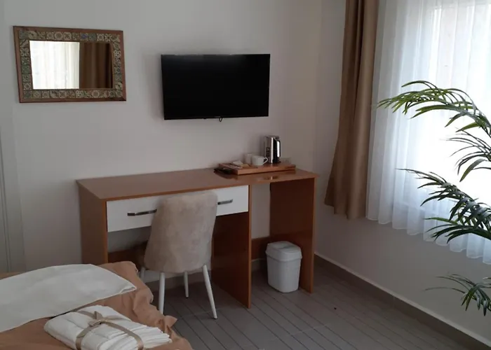 Otelia Guest house 3*