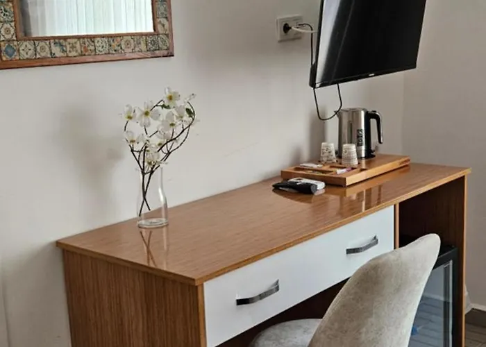 Otelia Guest house 3*